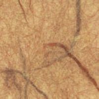 sand mulberry paper