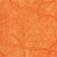 mulberry-orange