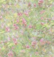 garden pink vellum