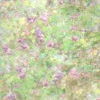 garden purple vellum
