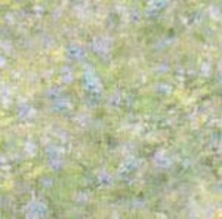 garden blue vellum