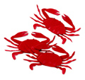 Jolees By You-crabs