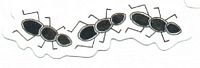 MME Mini Die Cuts Ants