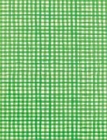 green gingham paper